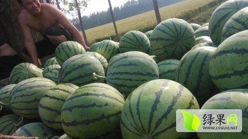 吃瓜最新事件爆料菏泽,揭秘背后惊人真相  第3张